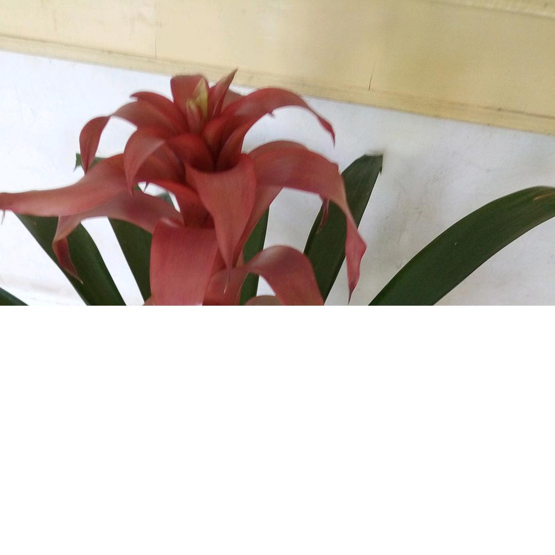景俊斌