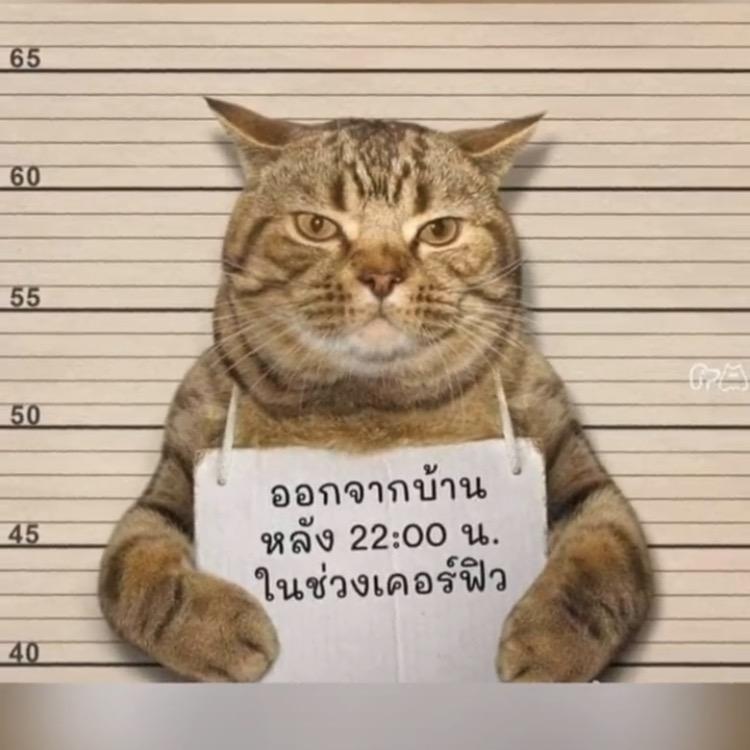 烟头　　　　　　　╲