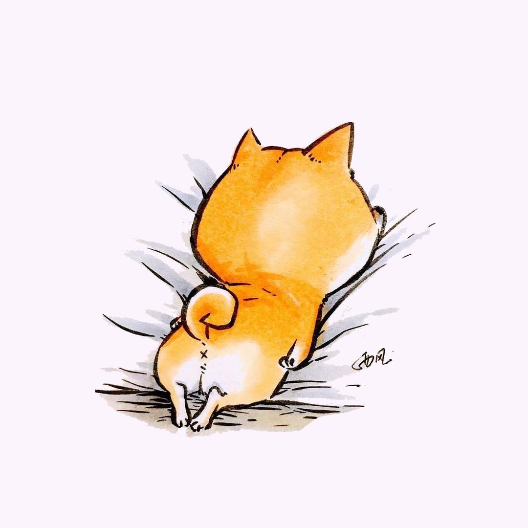一条小草鱼