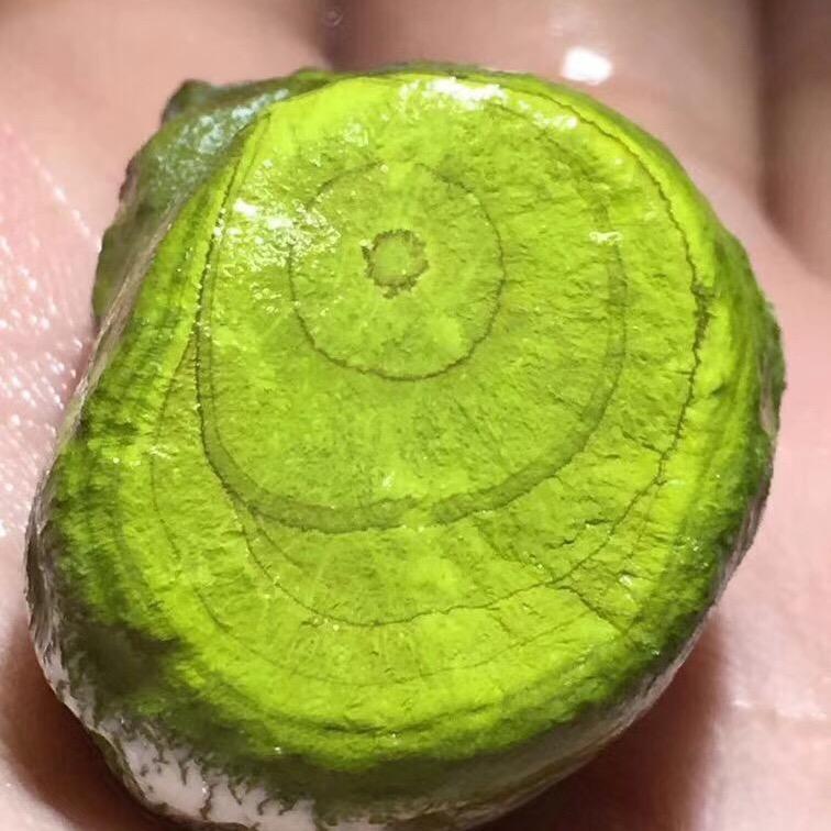 武汉专业外墙蜘蛛人