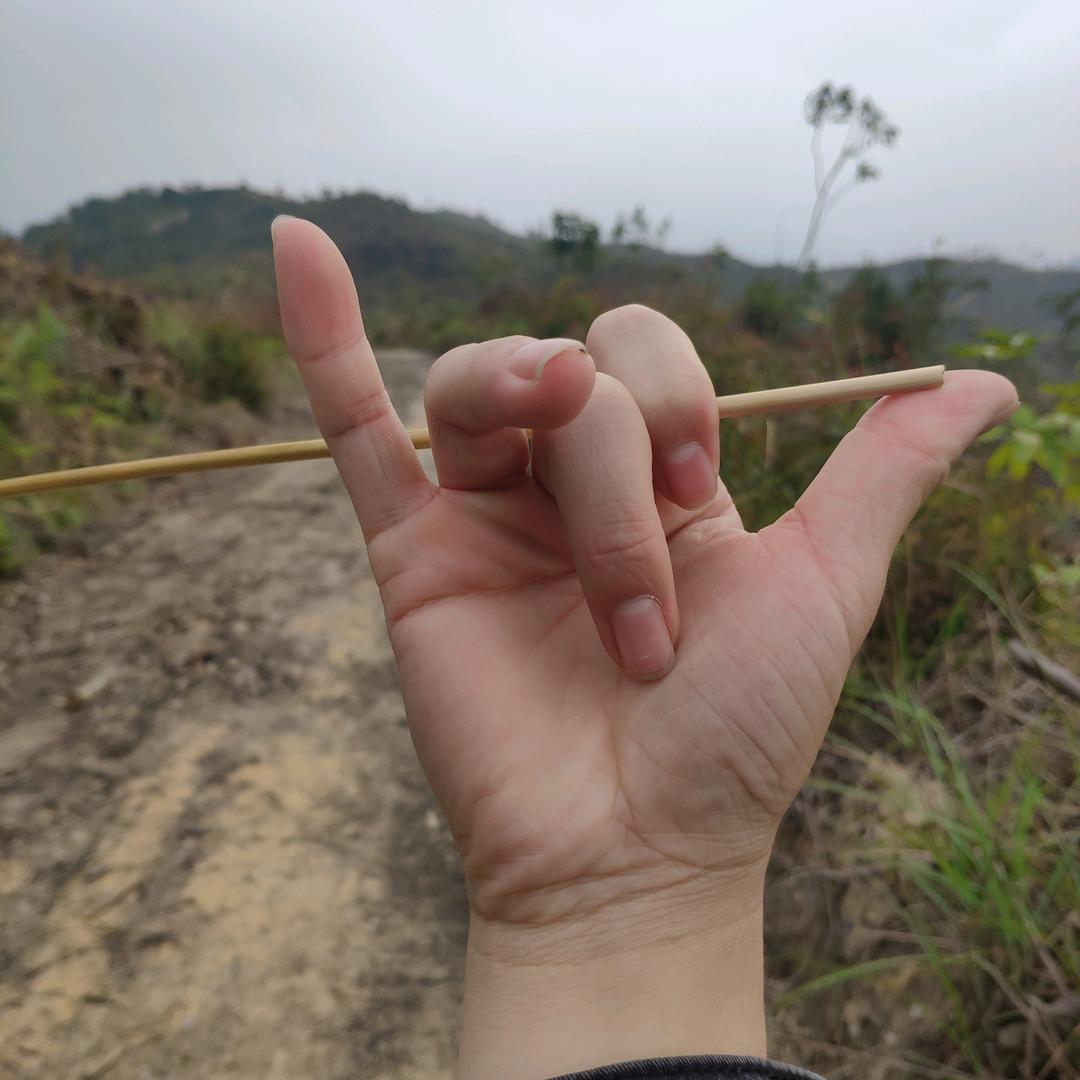 湫🐢