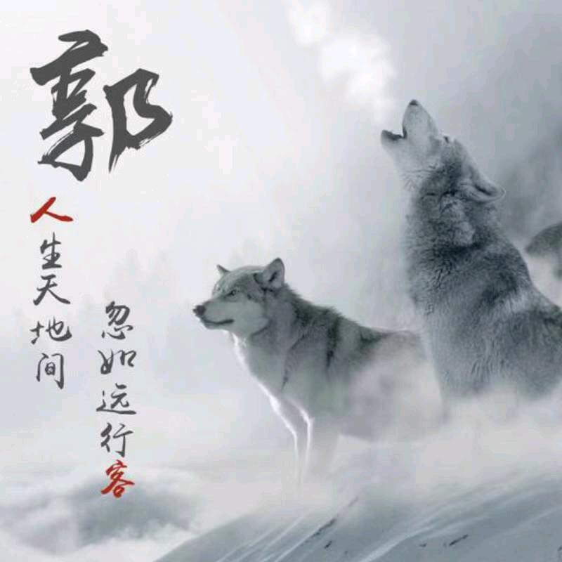 新刑队郭SIR