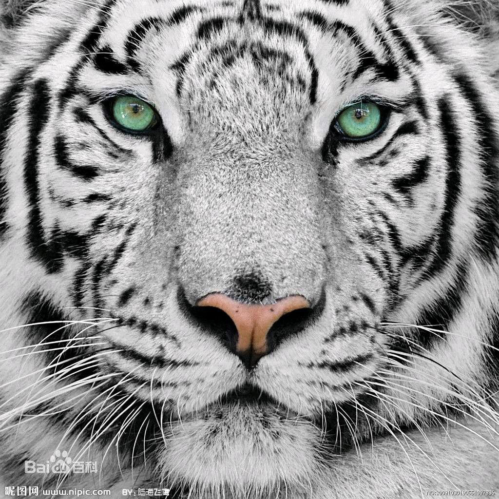 森拓农业发展有限公司