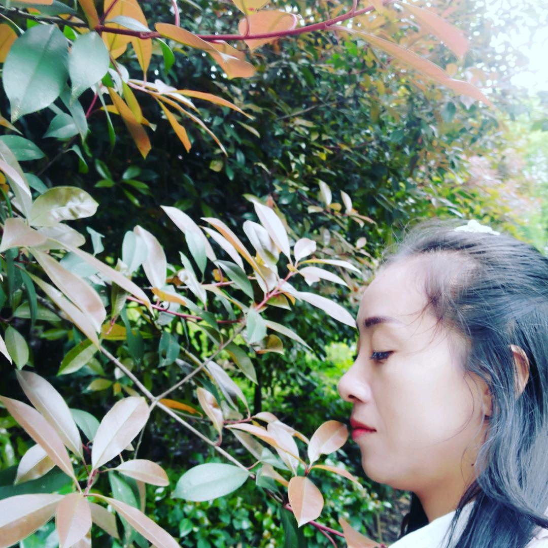 糊涂虫