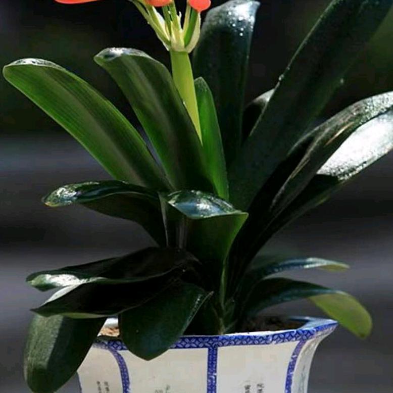 牵手