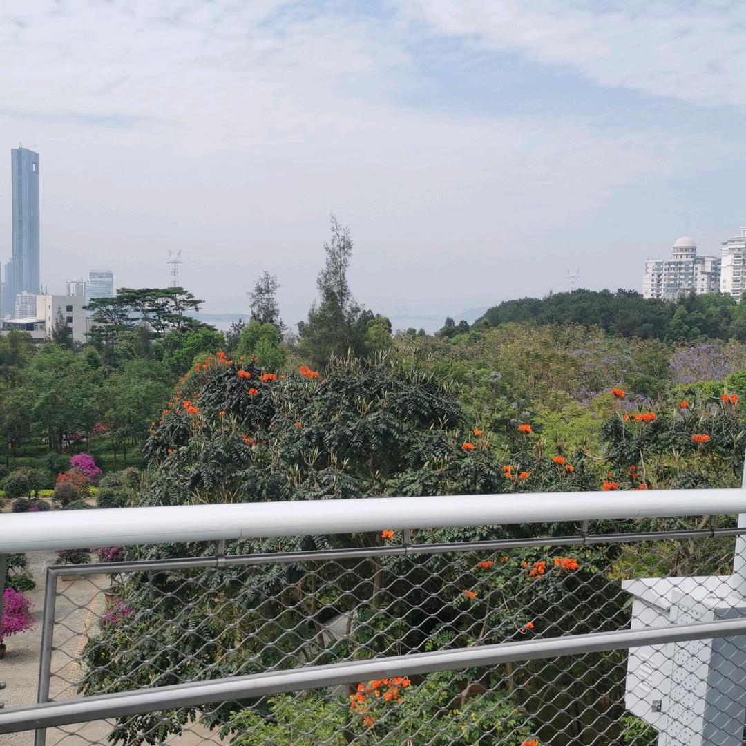 🌈🌈🌈沉默不语