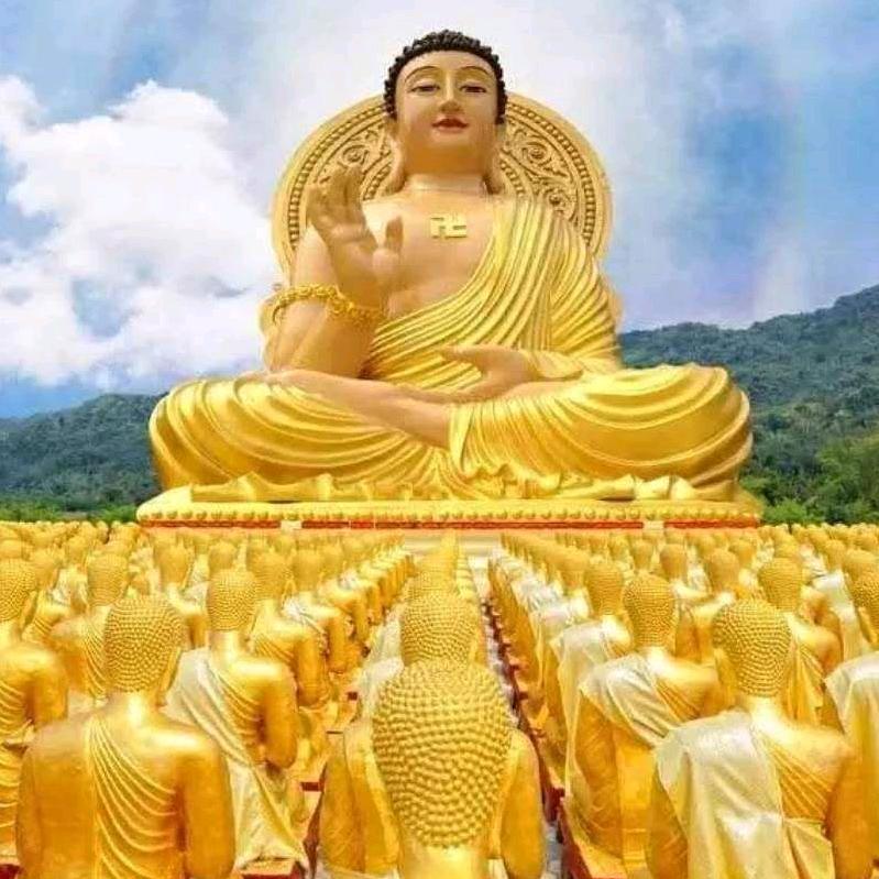 有舍有得