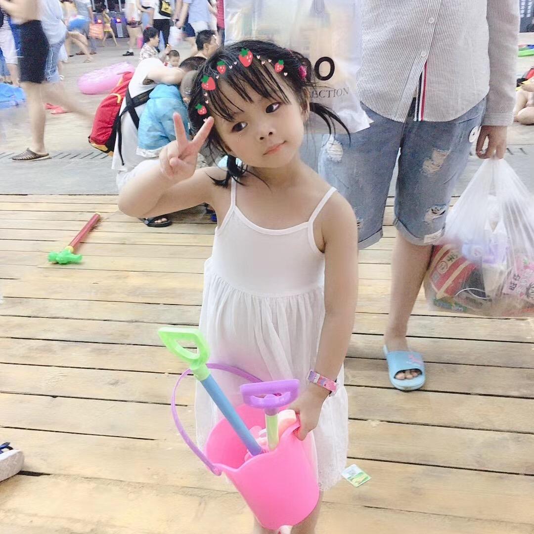 爱吃竹粽子的机器猫