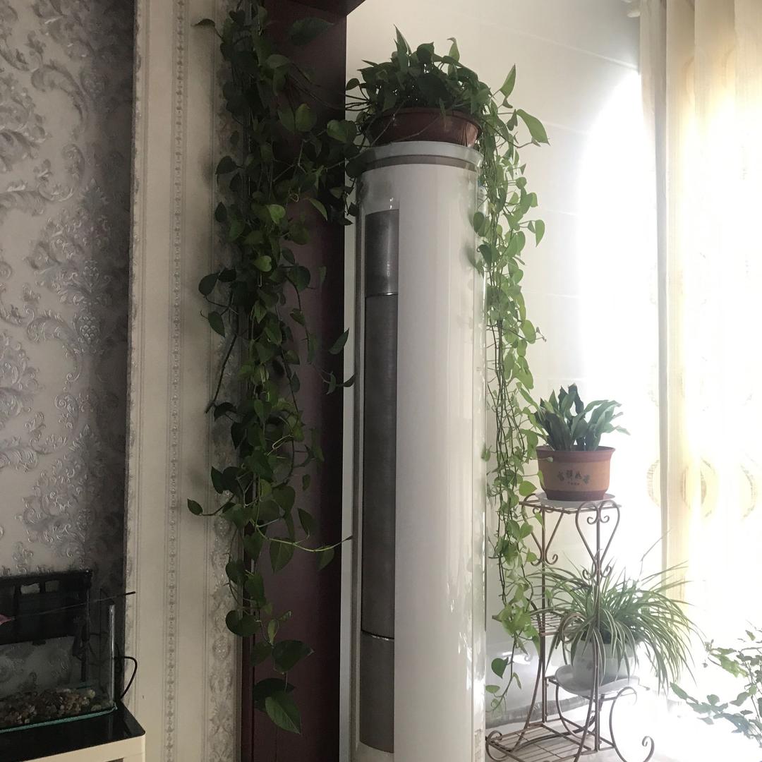 赵建华