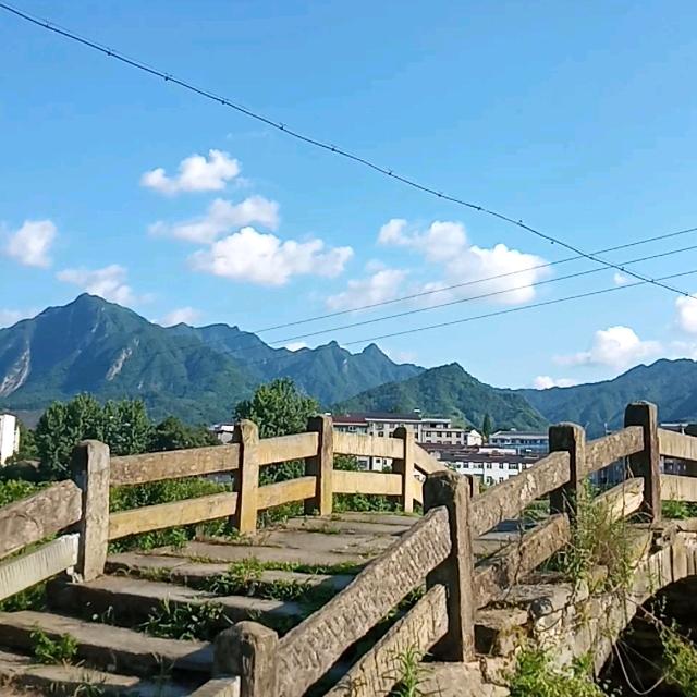 鼓子花红