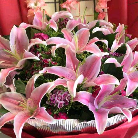 永不言弃微笑家和万事兴