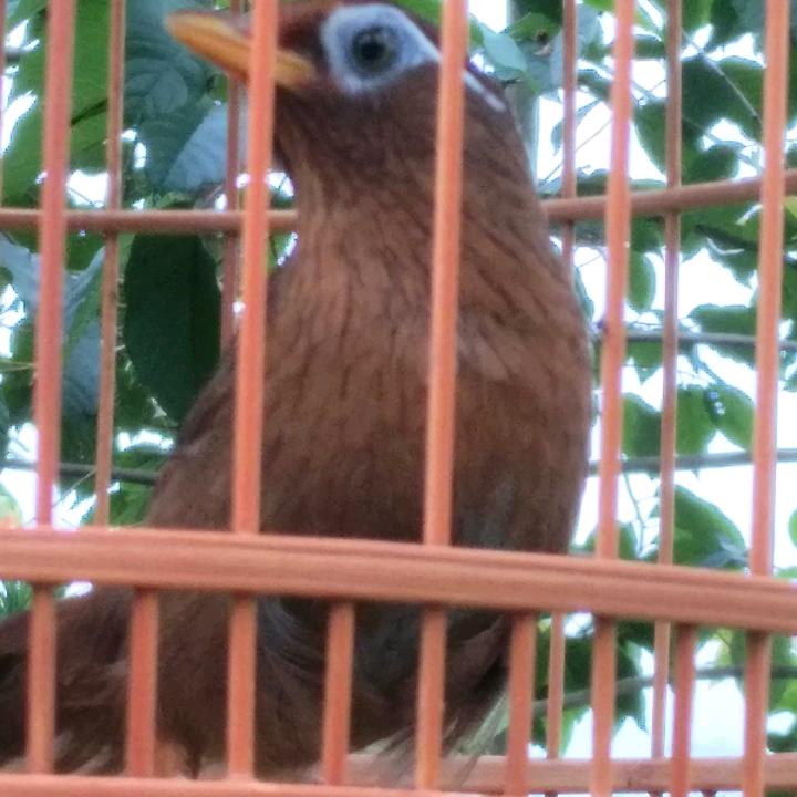 幸福的日子