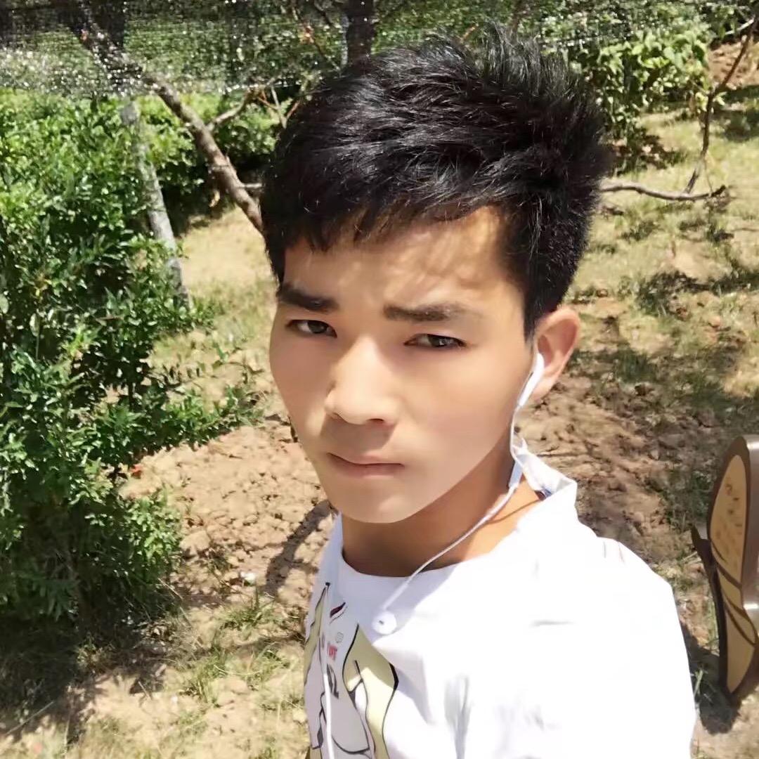 陕南李哥
