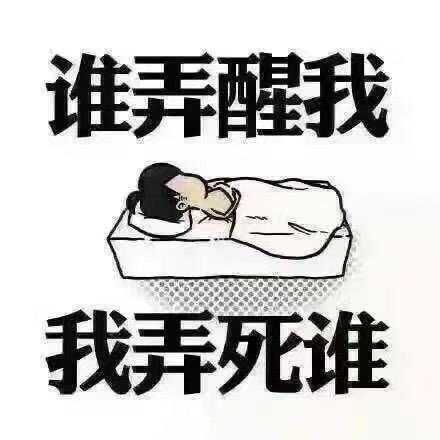 尼维特