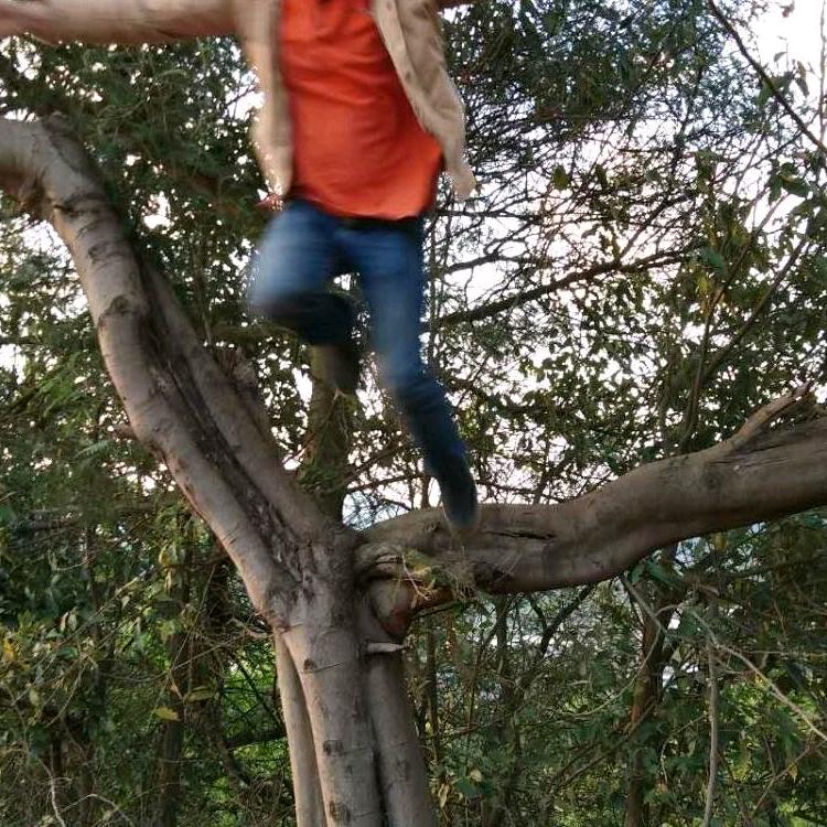 遇上你是我的缘