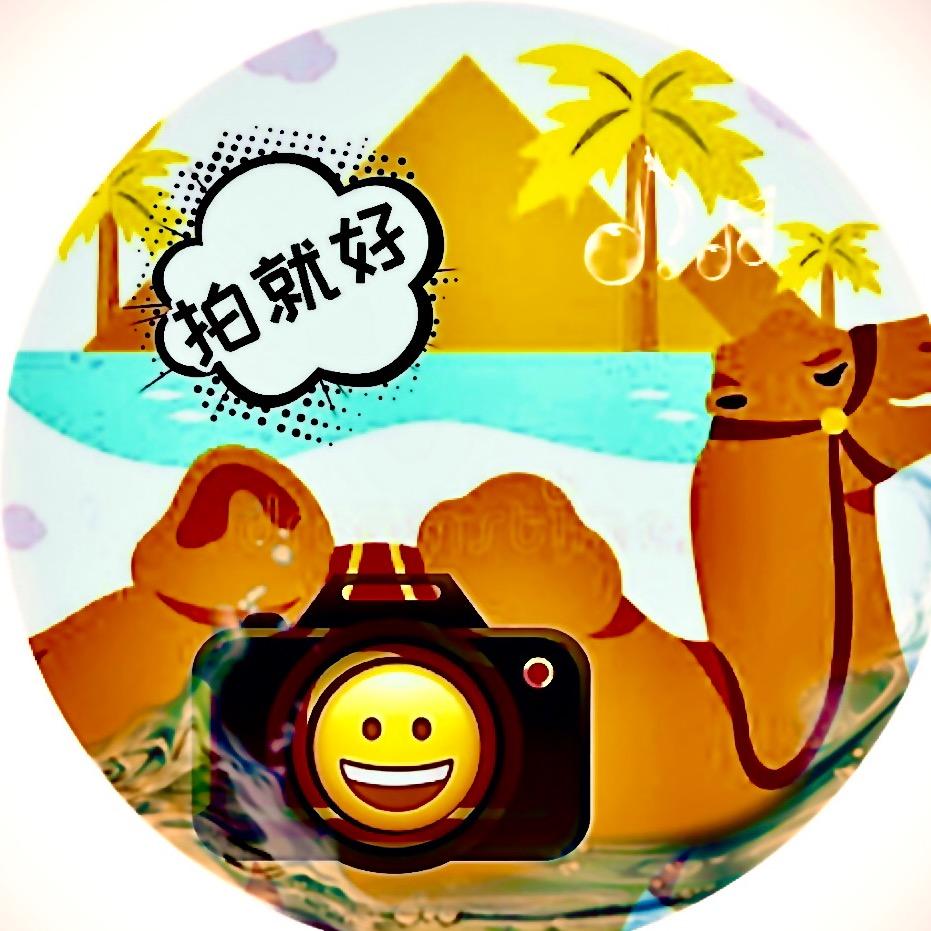 骆驼CAMEL摄影
