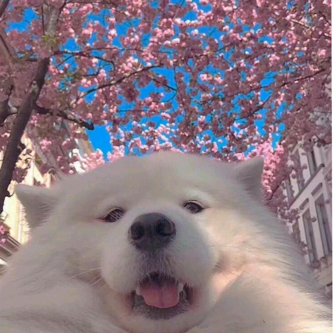 ๑>心若淡然<๑