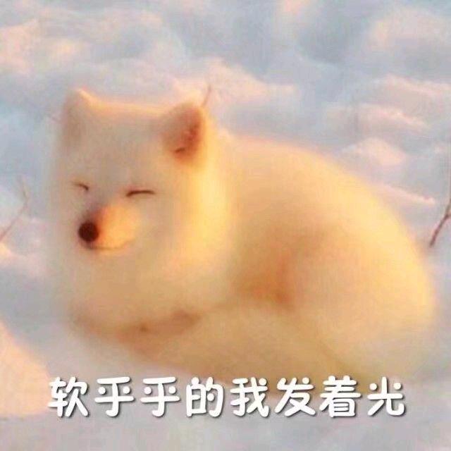 凤卿玖Sunny