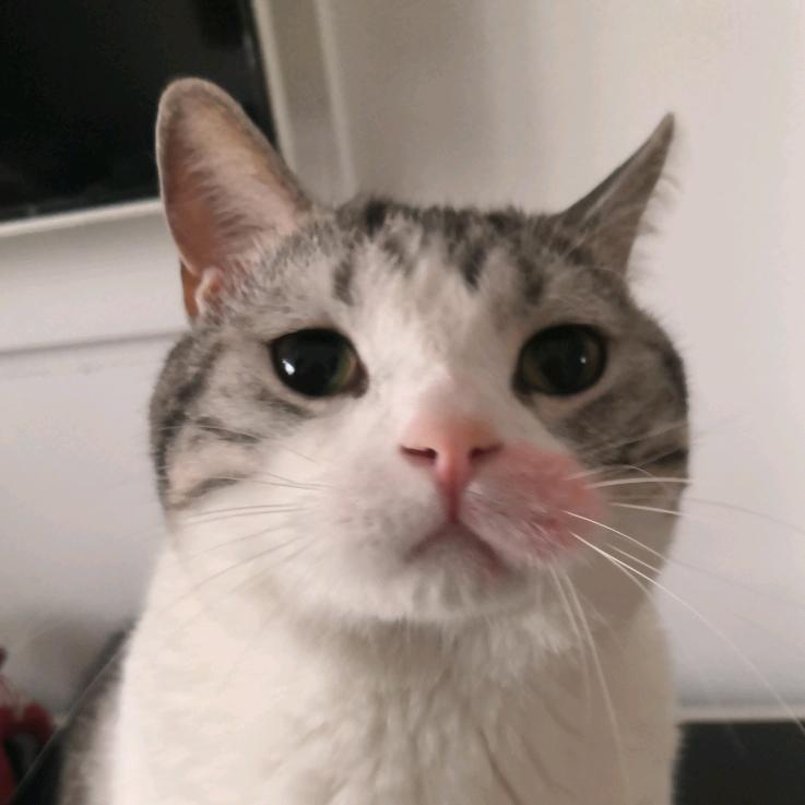 小长金～