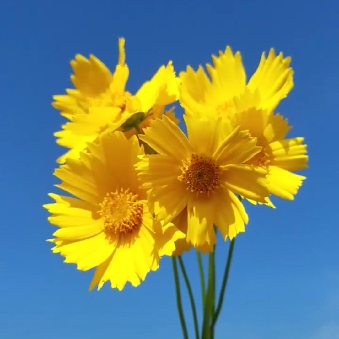 井井井井井井井_