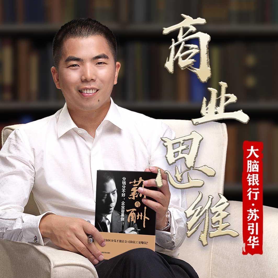 苏引华老板思维