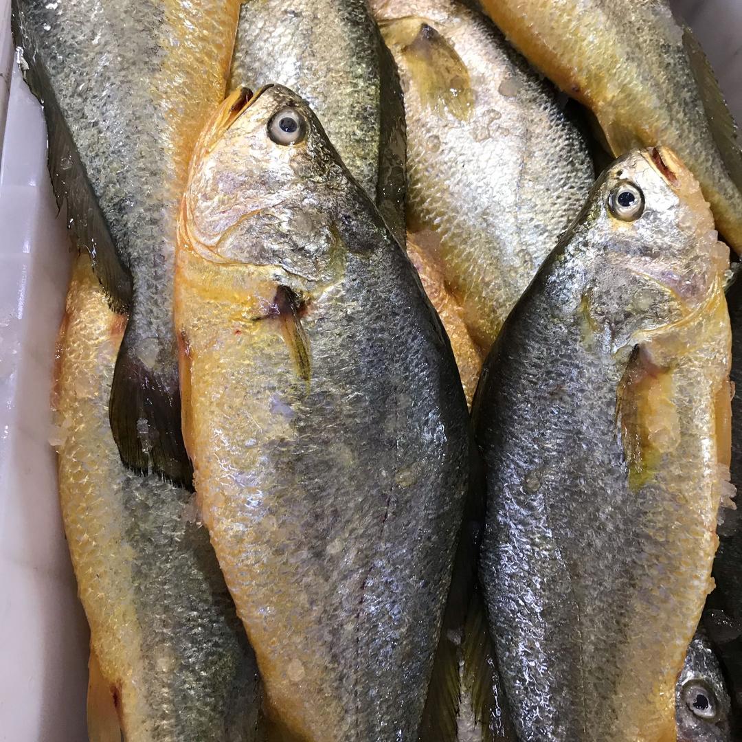 海鲜小鱼