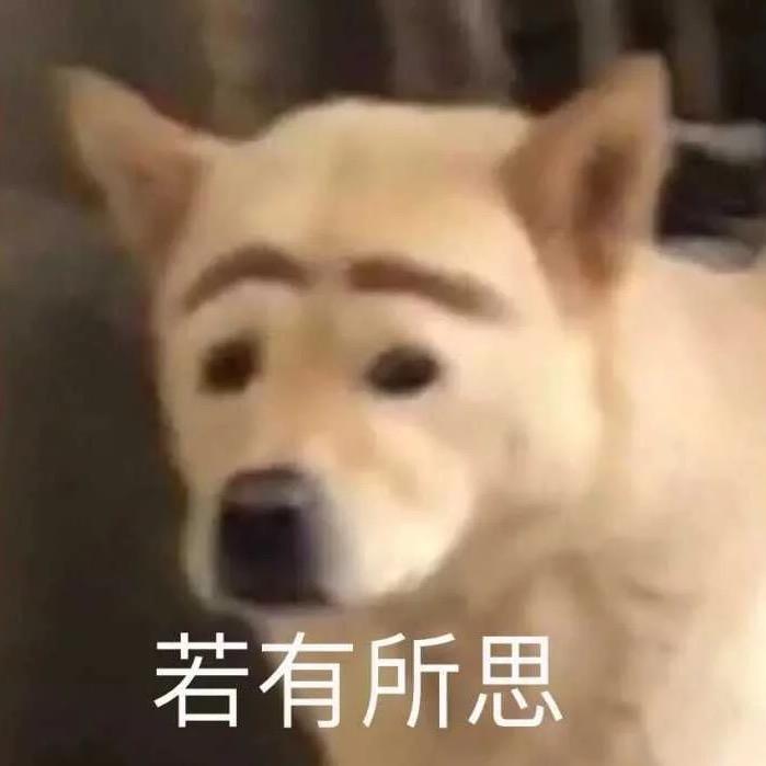 曲径通幽
