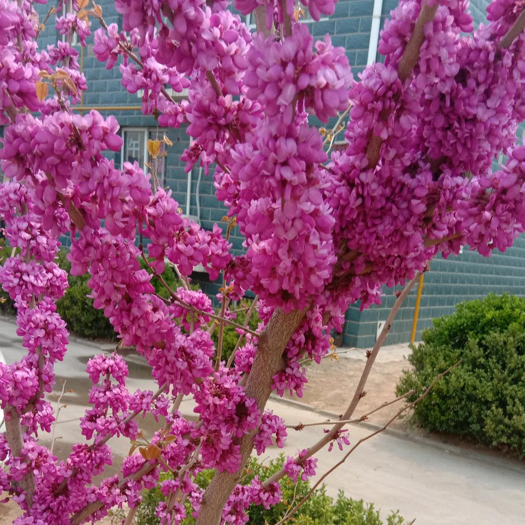 用户5879252296756海阔天空