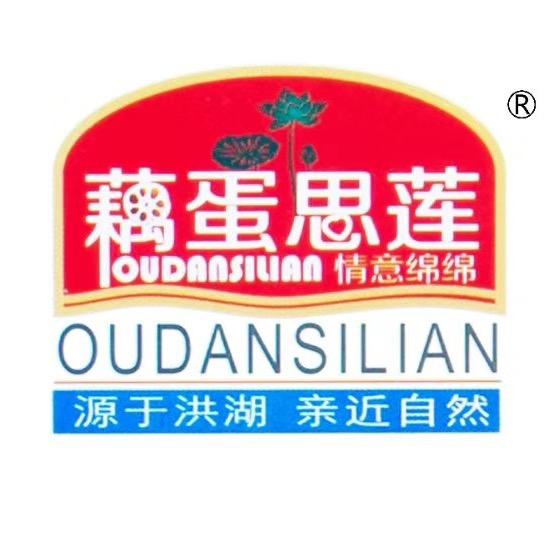 洪湖市霸天食品