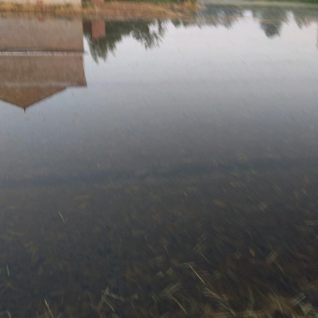 陈立林