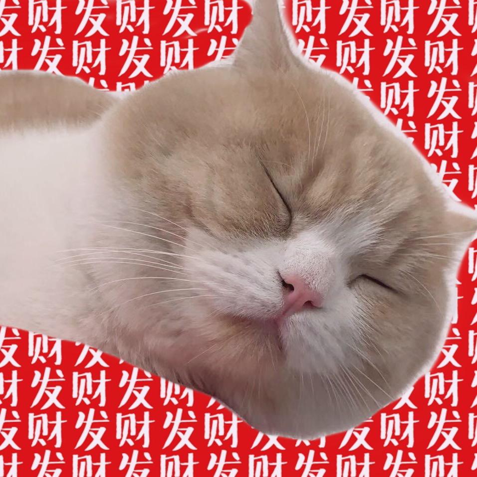 臭狗屎家的秘密