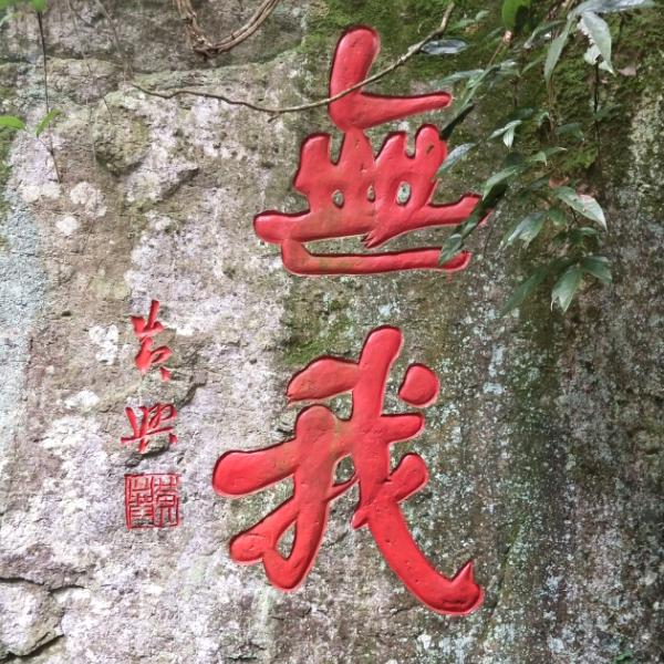 搭嘎浪啊
