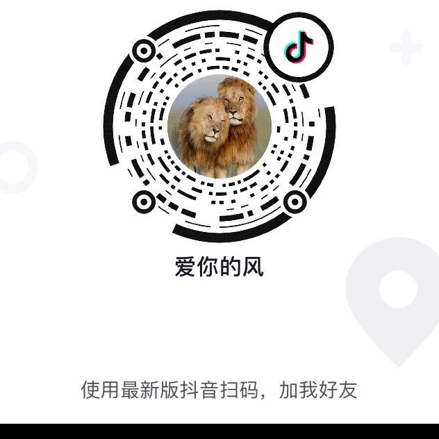爱你的风