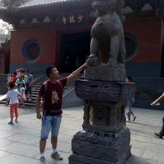 豫见奔跑