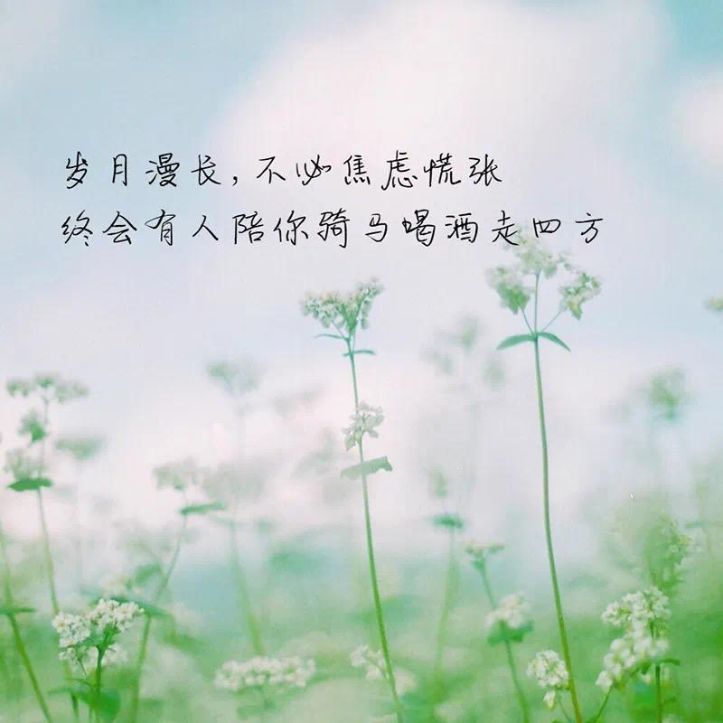 钱多多♥