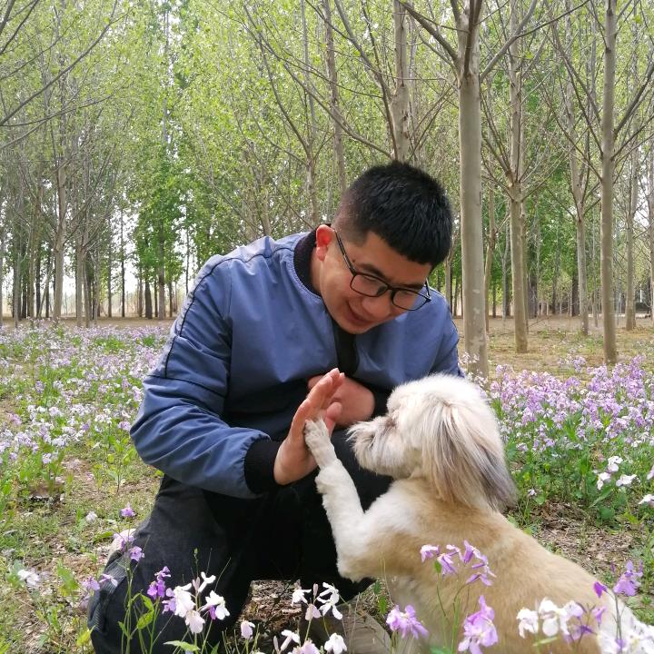爱宠乖乖•叮铛爸训犬