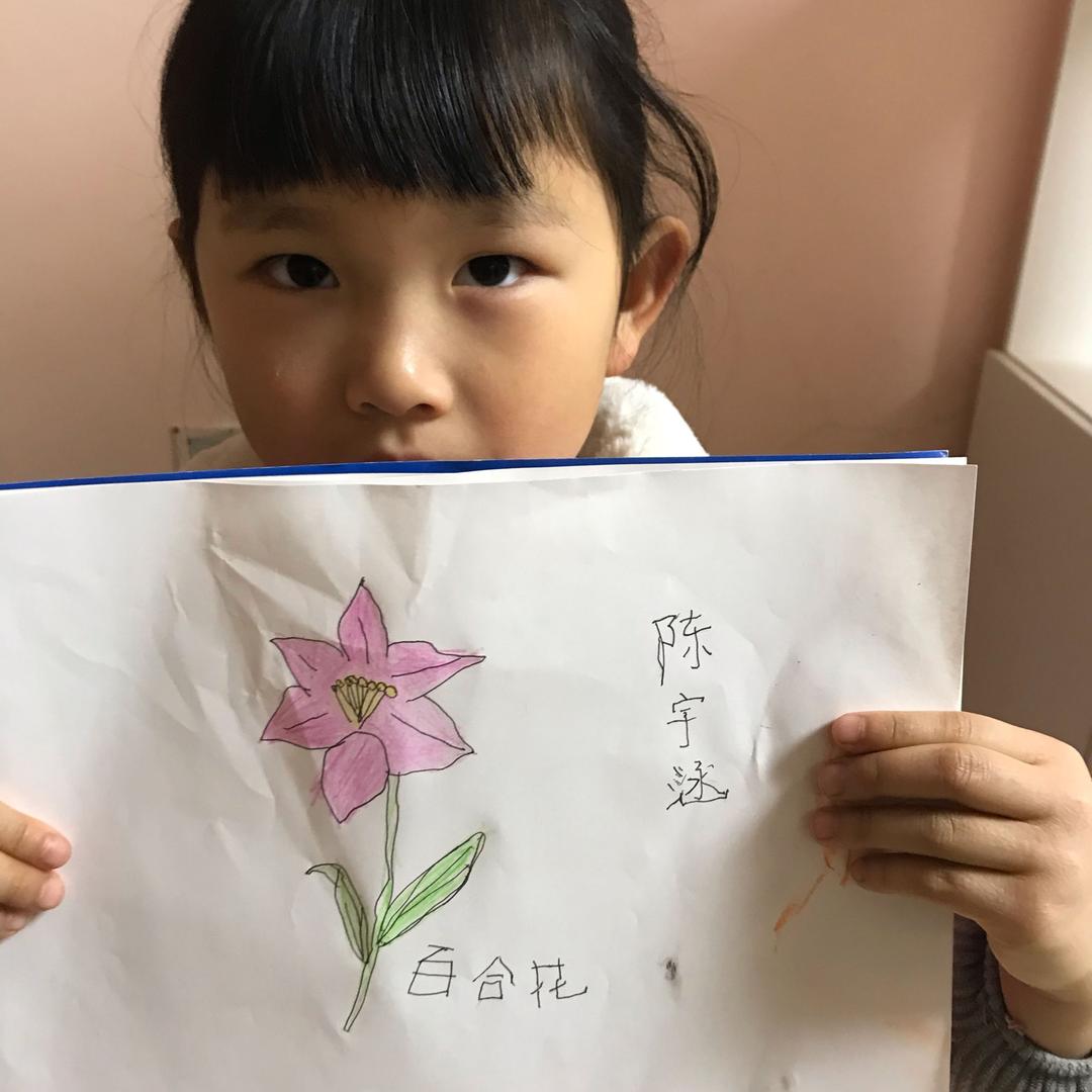 丫头
