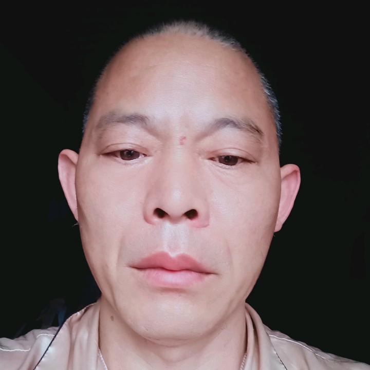 向林成