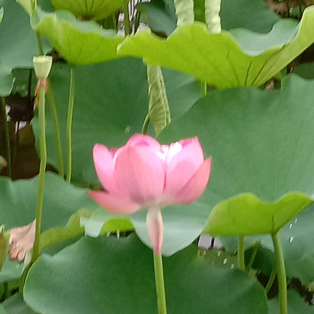 一起开❤️一起笑:-D