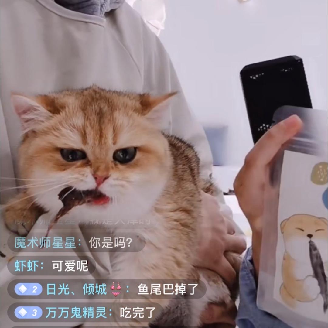 素卷卷