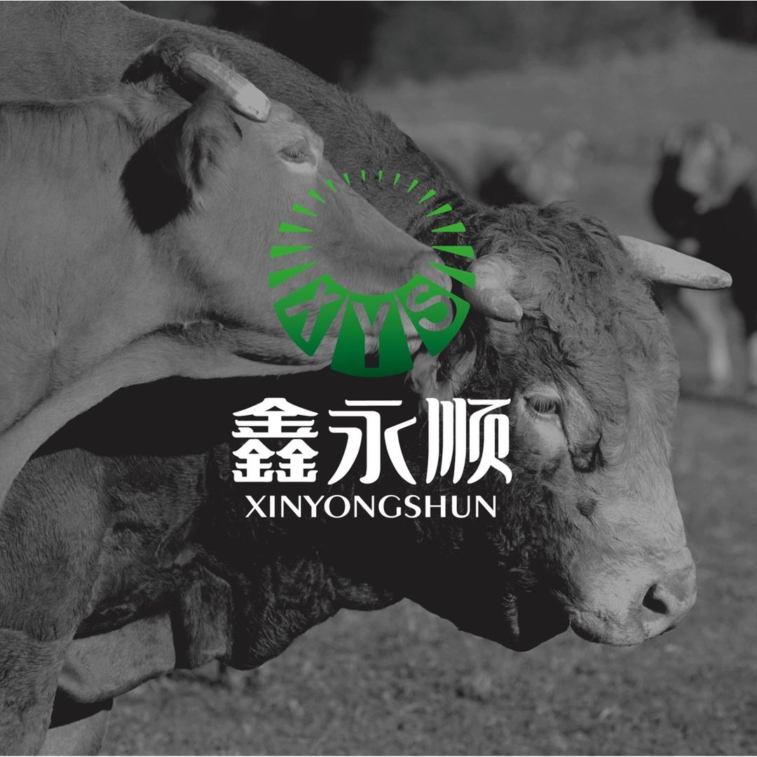 鑫永顺牛肉供应链