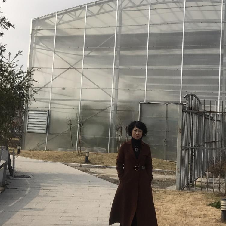 风儿