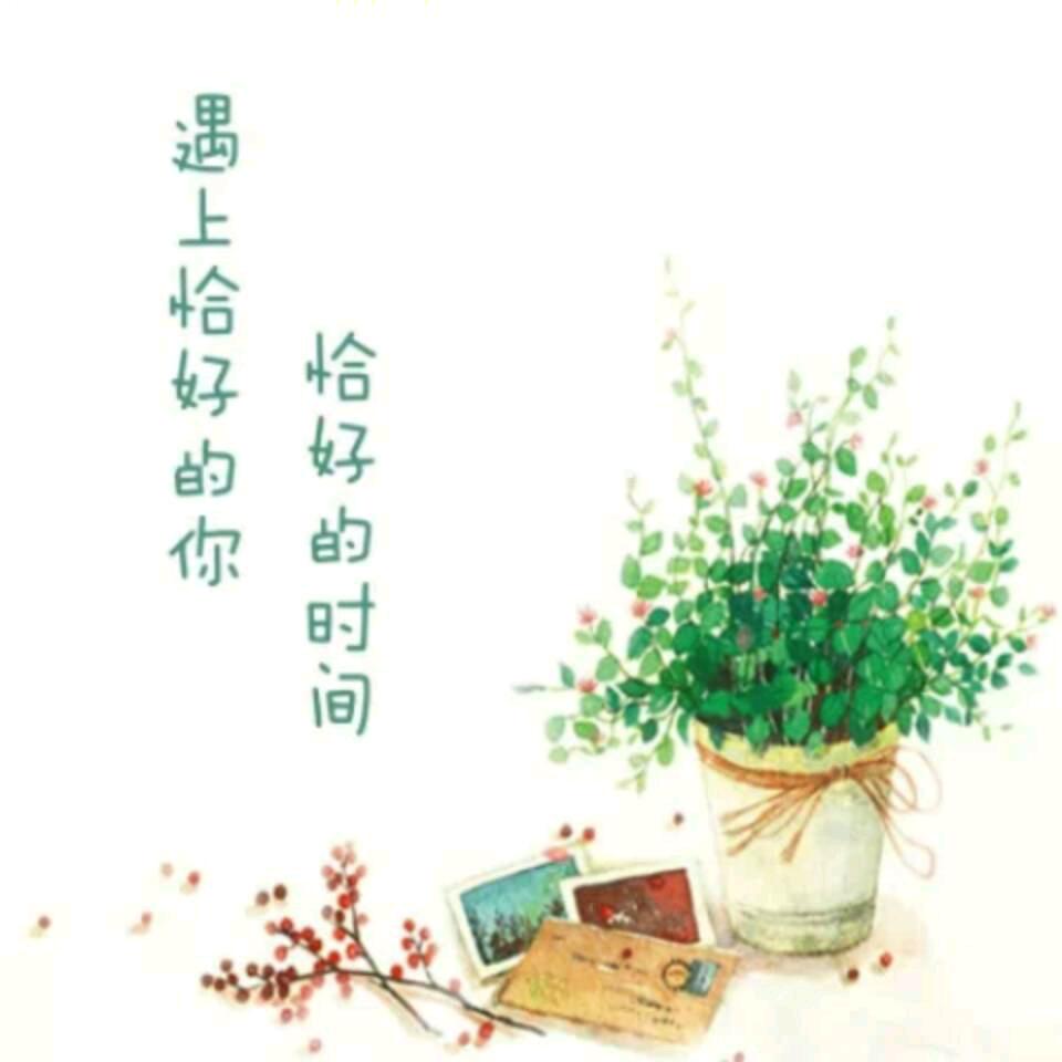 用户5458603772909