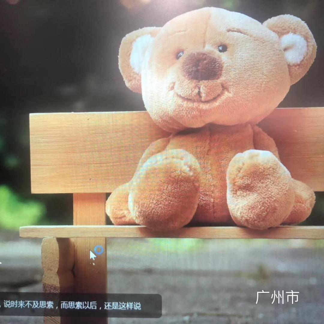 移动端的笨笨