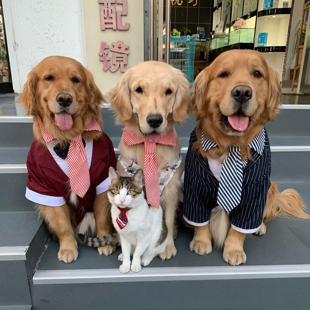 靓视野眼镜@抖音