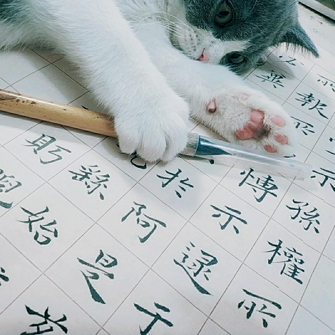 樂壹鲤