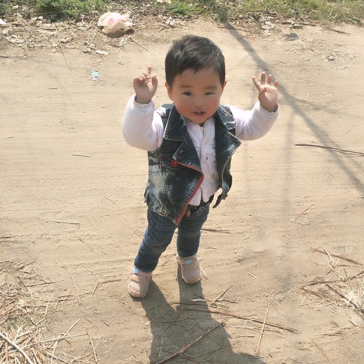 恒恒F
