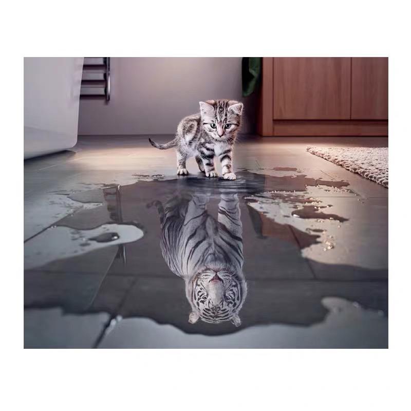 毛手毛腳闖江湖