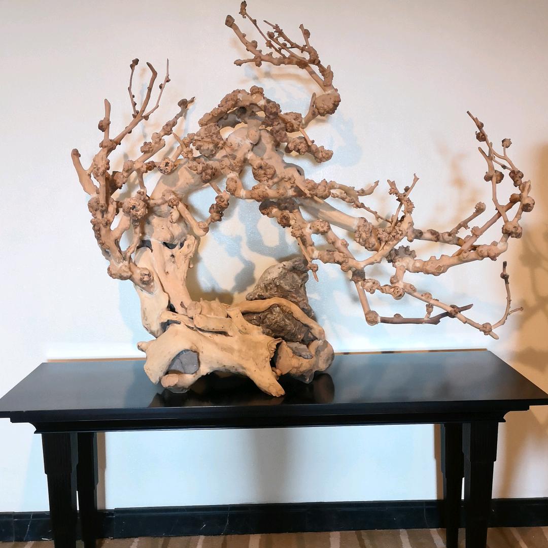 鑫科达：韦进树