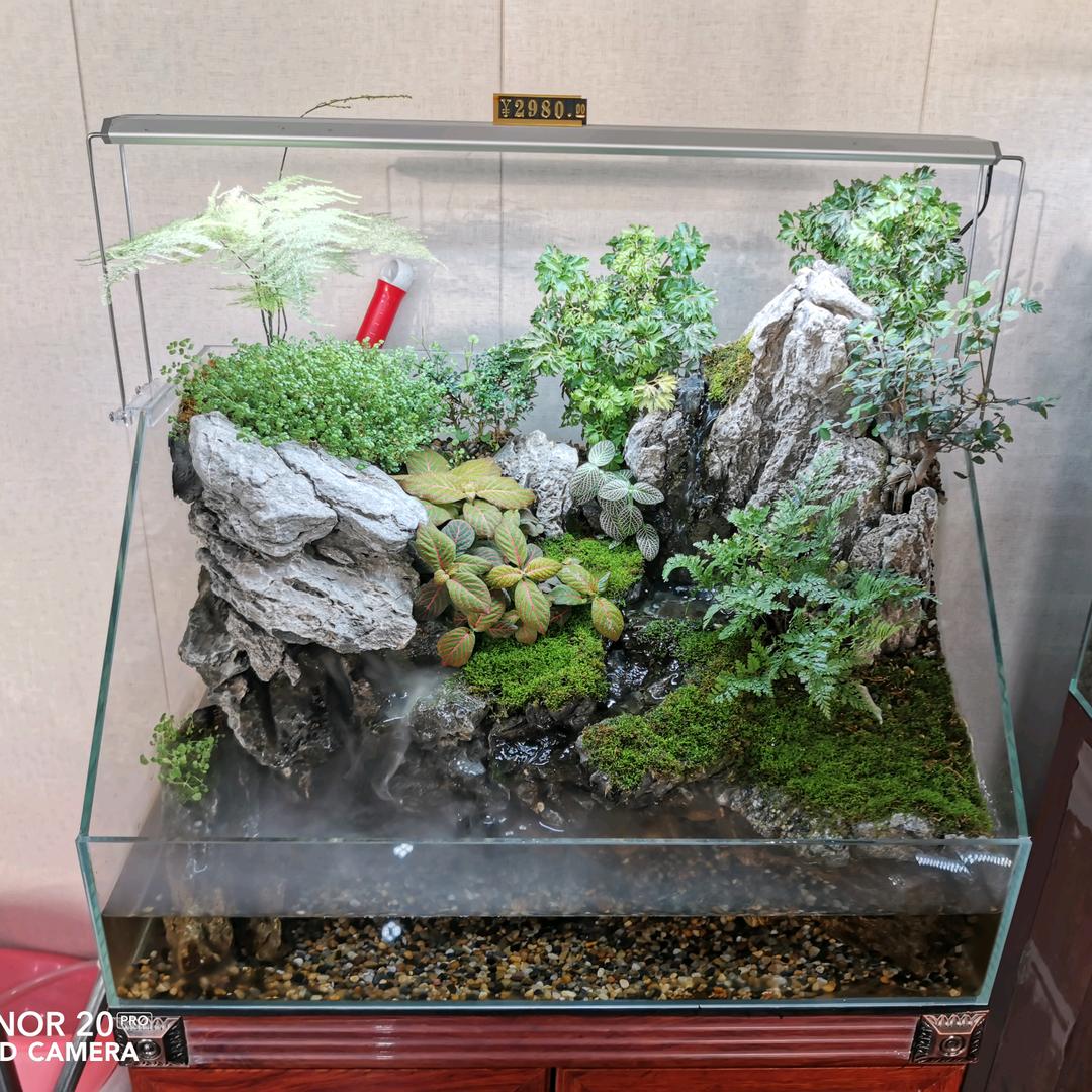 清风